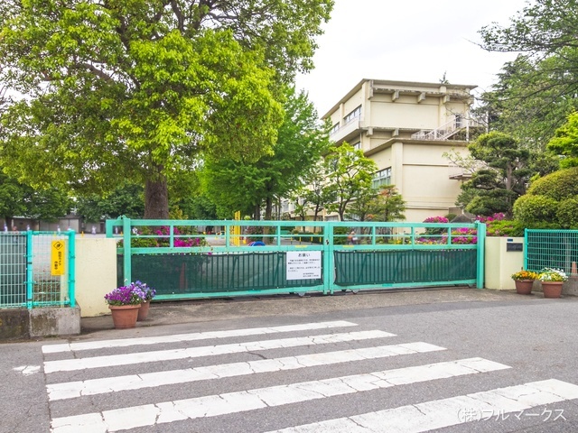 柏市立柏第八小学校　距離８００ｍ