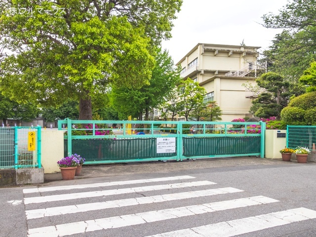 柏市立柏第八小学校　距離８００ｍ