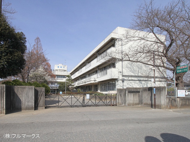 野田市立尾崎小学校　距離８００ｍ