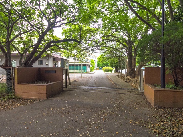 柏市立藤心小学校　距離１４００ｍ