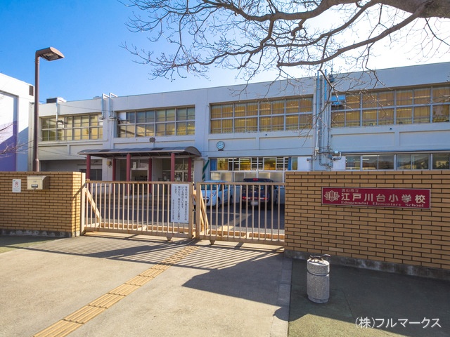 流山市立江戸川台小学校　距離５００ｍ