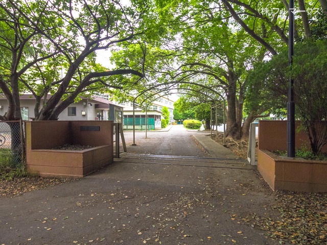 柏市立藤心小学校　距離１２００ｍ