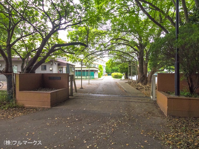 柏市立藤心小学校　距離１２００ｍ