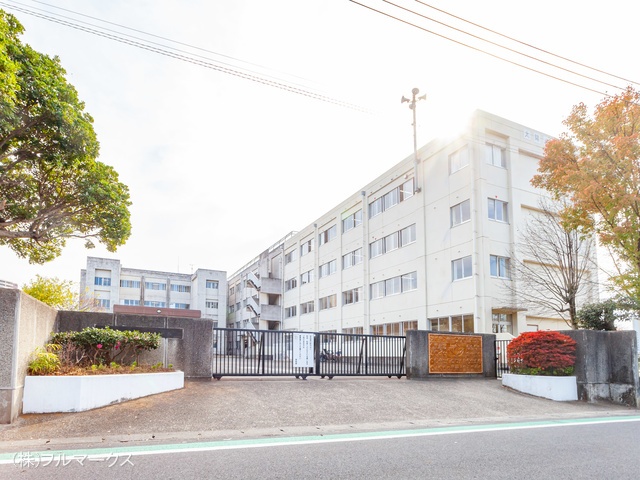 松戸市立幸谷小学校　距離２６０ｍ