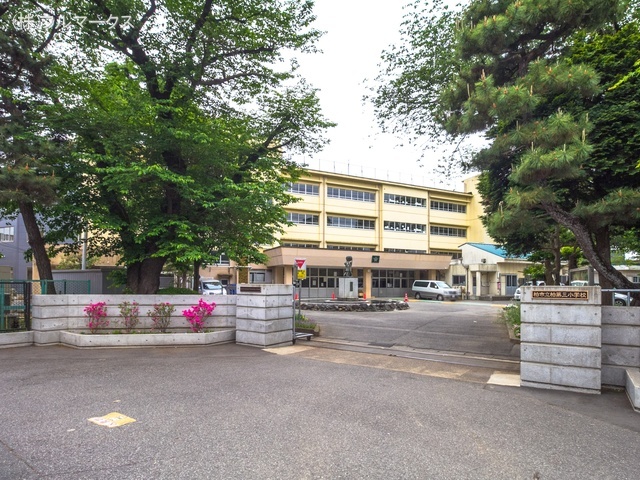 柏市立柏第三小学校　距離２５０ｍ